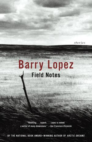 Cover of the book Field Notes by Igor Alcantara
