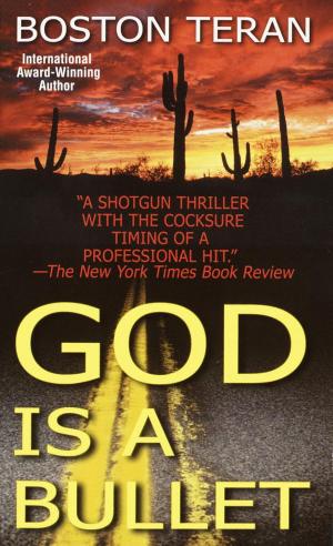 Cover of the book God Is a Bullet by Heather D. Veinotte