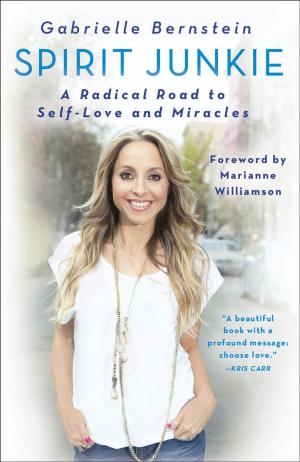 Book cover of Spirit Junkie