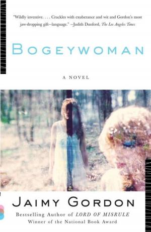 Cover of the book Bogeywoman by Franz Wright