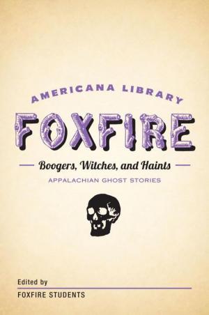 Cover of the book Boogers, Witches, and Haints: Appalachian Ghost Stories by Richard Hofstadter