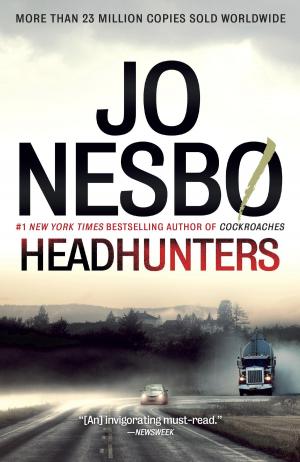 Cover of the book Headhunters by Peter Carey