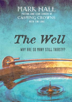 Cover of the book The Well by Dave Wilson, Ann Wilson