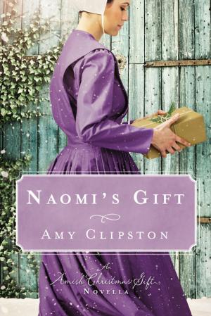 Cover of the book Naomi's Gift by J.D. Greear