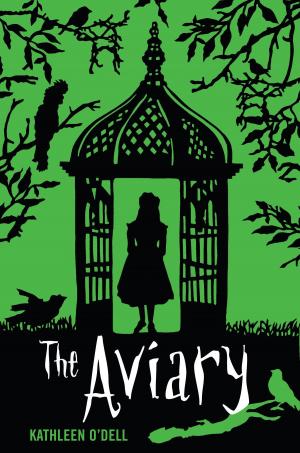 Cover of the book The Aviary by Danica McKellar