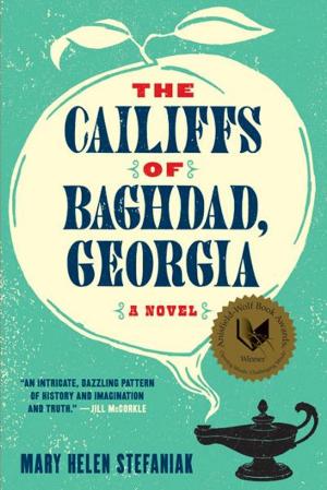 Cover of the book The Cailiffs of Baghdad, Georgia: A Novel by John M. Gottman