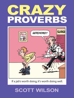 Book cover of Crazy Proverbs