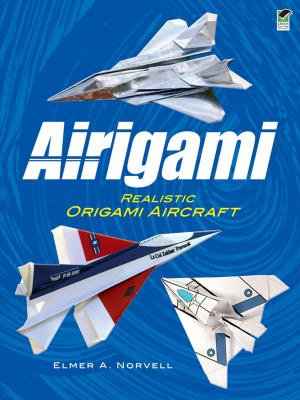 Cover of the book Airigami by David Dutkanicz