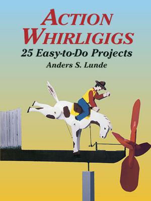 Cover of the book Action Whirligigs by Jennifer Lake
