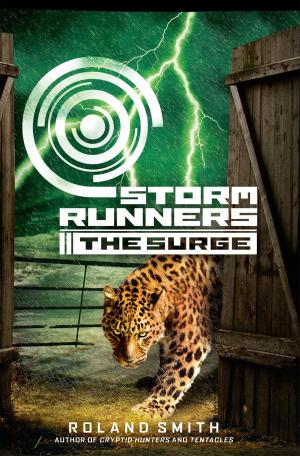 Cover of the book Storm Runners #2: The Surge by M. A. Roberts
