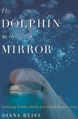Cover of the book The Dolphin in the Mirror by Arturo Pérez-Reverte