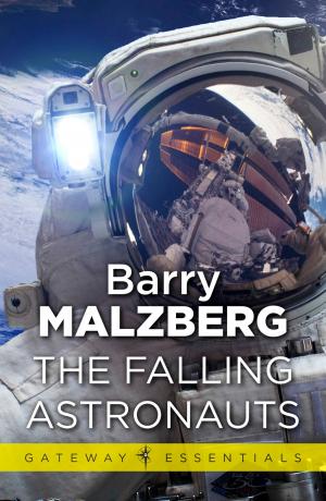 Cover of the book The Falling Astronauts by Sven Hassel