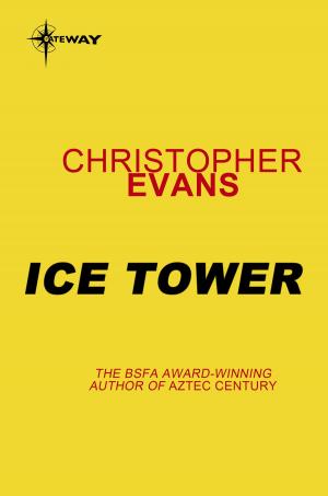 Cover of the book Dreamtime: Ice Tower by John D. MacDonald