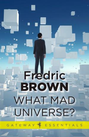 Book cover of What Mad Universe