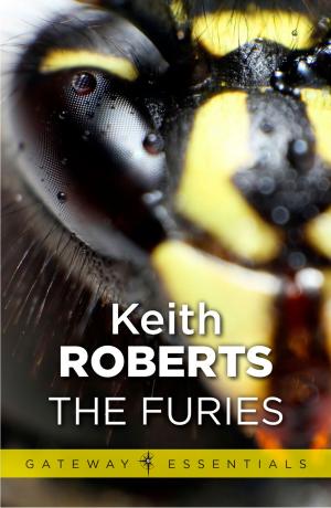 Cover of the book The Furies by Colin Kapp