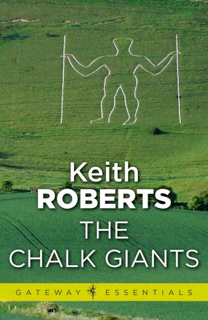 Cover of the book The Chalk Giants by E.C. Tubb