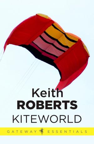 Cover of the book Kiteworld by Jessie L. Best, Book Design Team Around 86