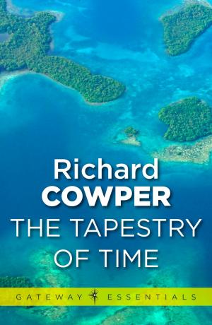 bigCover of the book A Tapestry of Time by 