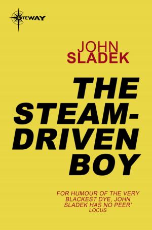 Cover of the book The Steam-Driven Boy by Lilian Harry