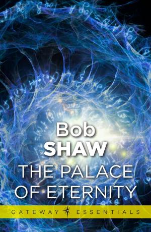 bigCover of the book The Palace of Eternity by 