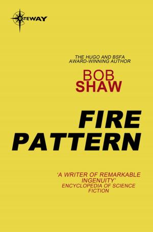 Cover of the book Fire Pattern by Richard Williams