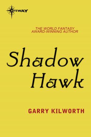 Cover of the book Shadow Hawk by Edgar Allan Poe