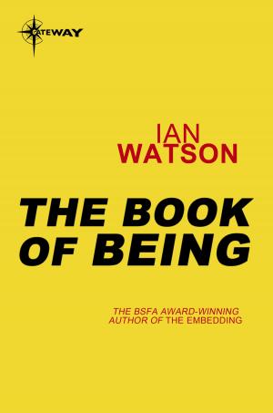 Cover of the book The Book of Being by John Cottingham