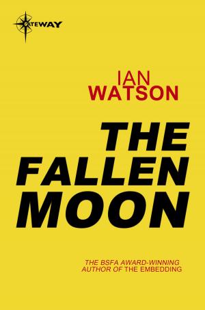 Cover of the book The Fallen Moon by Chris Schilver
