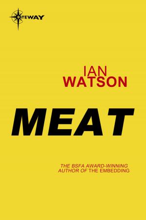 Cover of the book Meat by PJ Hultstrand