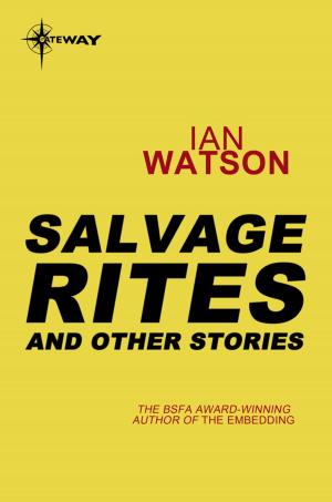 Cover of the book Salvage Rites: And Other Stories by Heather Lyons
