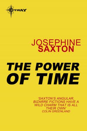 Cover of the book The Power of Time by Stephen Gallagher