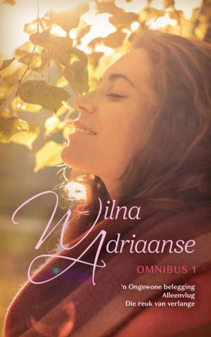 Cover of the book Wilna Adriaanse-omnibus 1 by Dana Snyman
