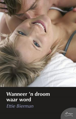 Cover of the book Wanneer 'n droom waar word by Sarah du Pisanie