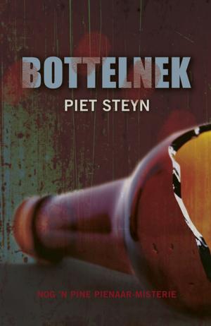 Cover of the book Bottelnek by Wilna Adriaanse