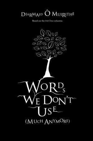 Cover of the book Words We Don't Use (Much Anymore) by Dearbhla Kelly