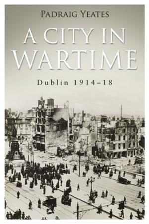 Cover of the book A City in Wartime – Dublin 1914–1918 by Kate O'Brien