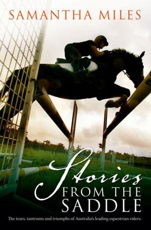 Cover of the book Stories From The Saddle by Shannon Lush, Jennifer Fleming