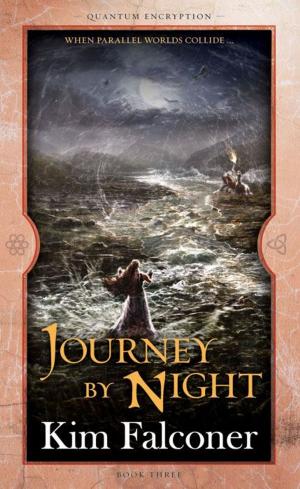 Cover of the book Journey by Night by Joel Shepherd