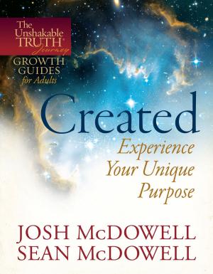 bigCover of the book Created--Experience Your Unique Purpose by 