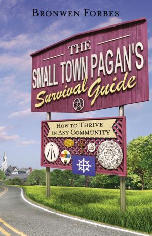 Cover of the book The Small-Town Pagan's Survival Guide by Sherrie Dillard