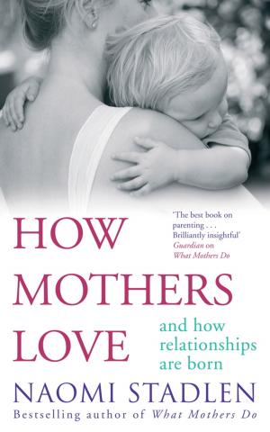 Cover of the book How Mothers Love by Stewart Evans, Keith Skinner