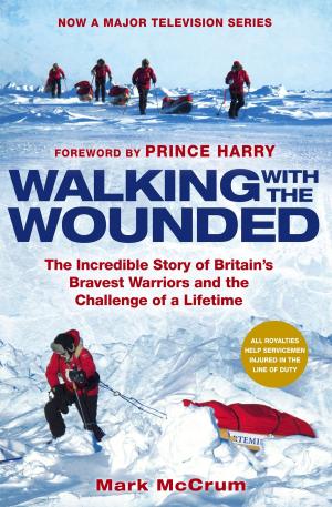 Cover of the book Walking With The Wounded by Catherine King