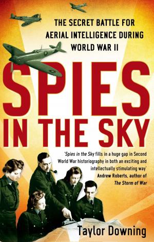 Cover of the book Spies In The Sky by Cath Staincliffe