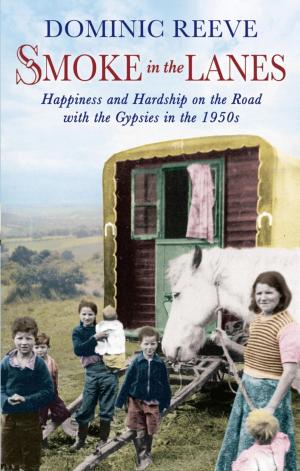Cover of the book Smoke in the Lanes by Nina Bell