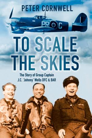 Cover of the book To Scale the Skies by Stephen McGarry