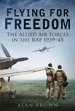 Cover of the book Flying for Freedom by Dan Cohn-Sherbok