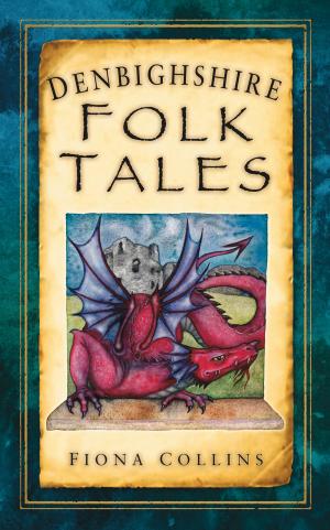 Cover of the book Denbighshire Folk Tales by Adam Hart-Davis, Emily Troscianko