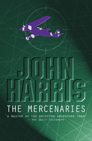 bigCover of the book The Mercenaries by 