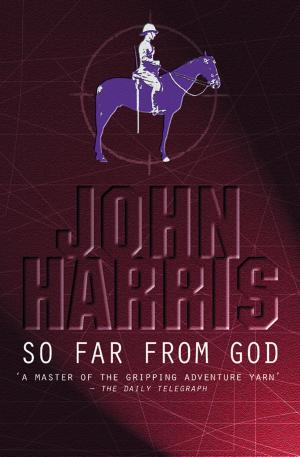 Cover of the book So Far From God by CT Morris