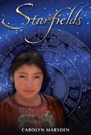 Cover of the book Starfields by Mary Losure